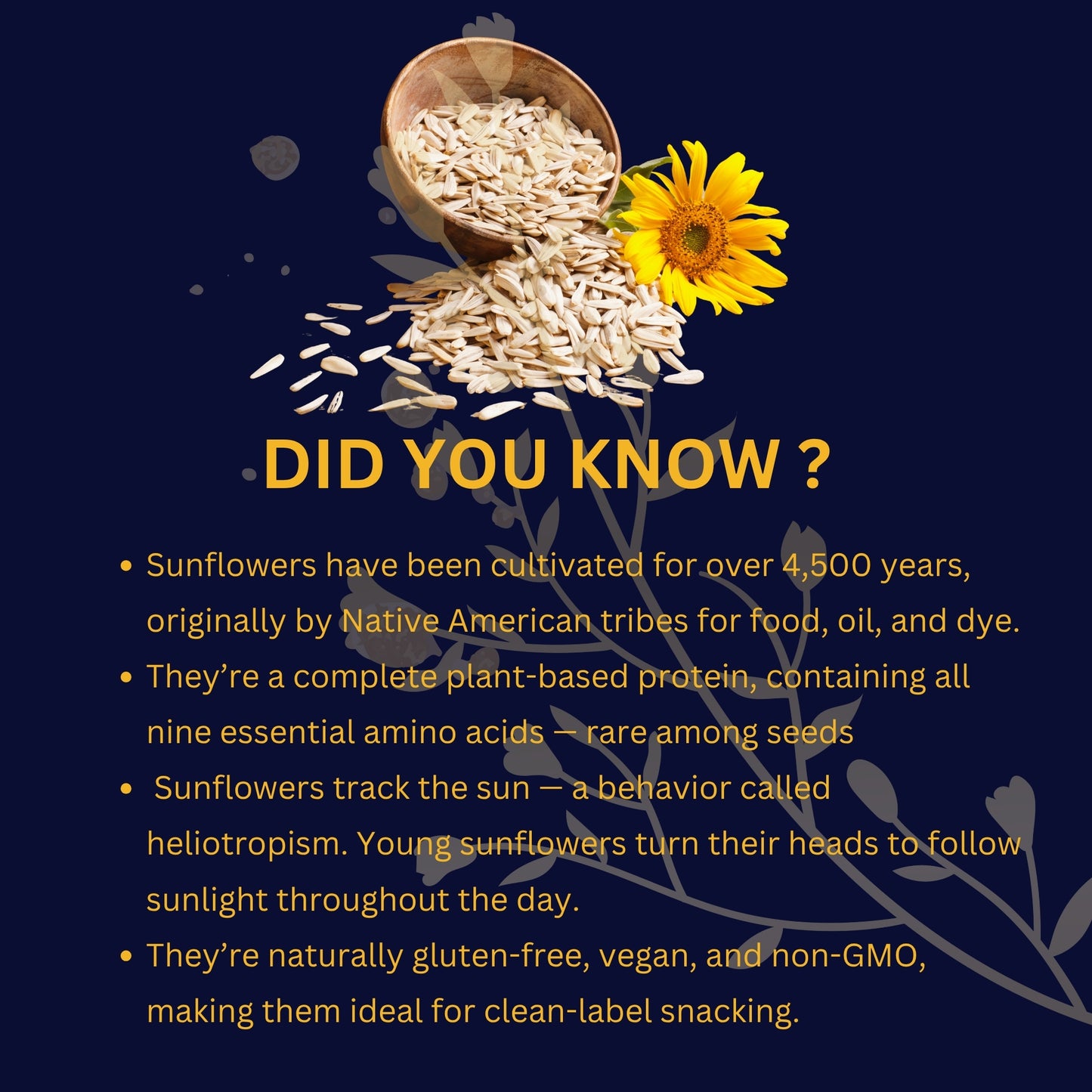 Nutty Occasions :Premium Roasted Sunflower Seeds | Protein-Rich Superfood Snack | Raw & Hulled | Magnesium, Zinc, Iron | 350g for Baking, Salads, Smoothies