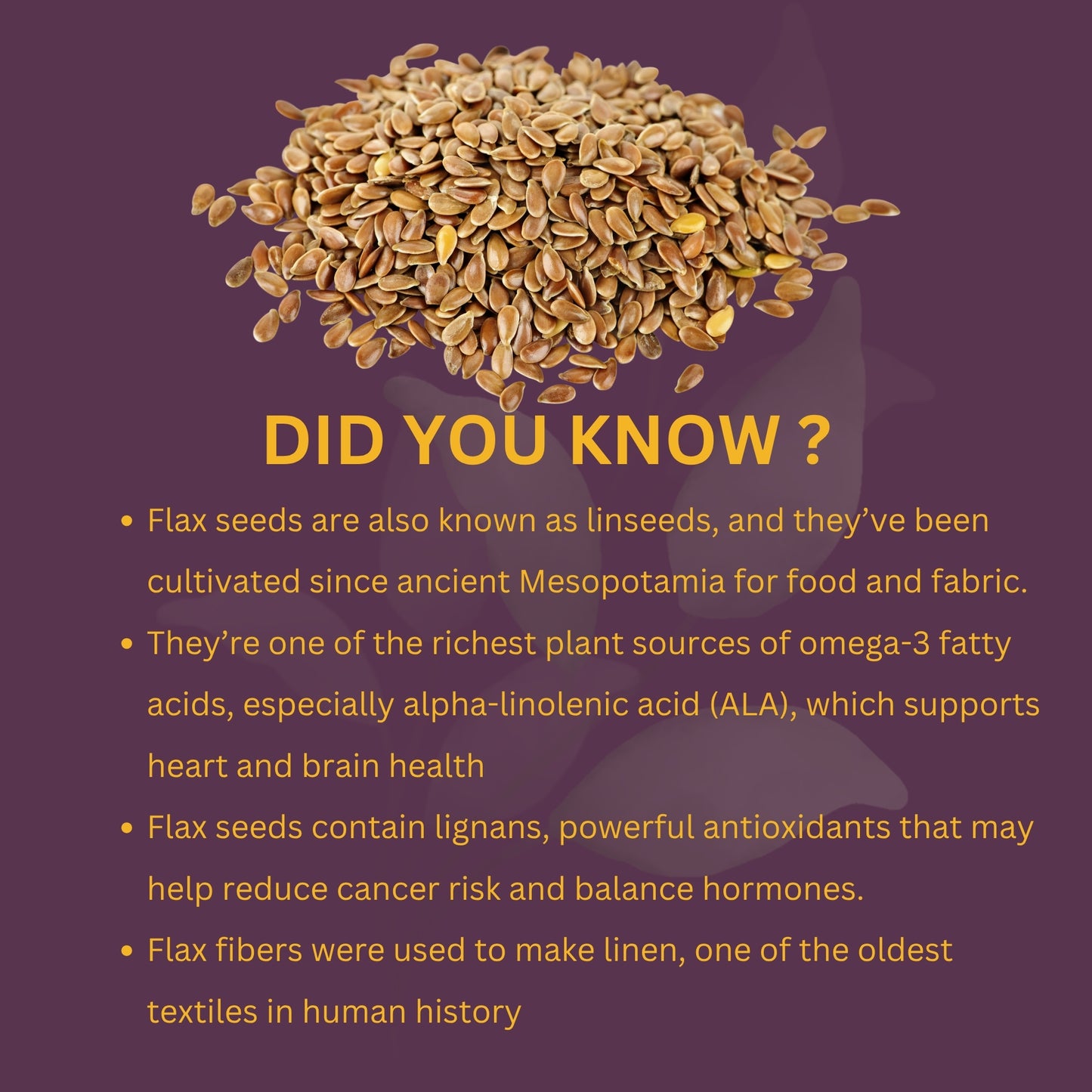 Nutty Occasions : Premium Flax Seeds – Nature’s Source of Omega-3| Fiber | Protein | 350 Grams
