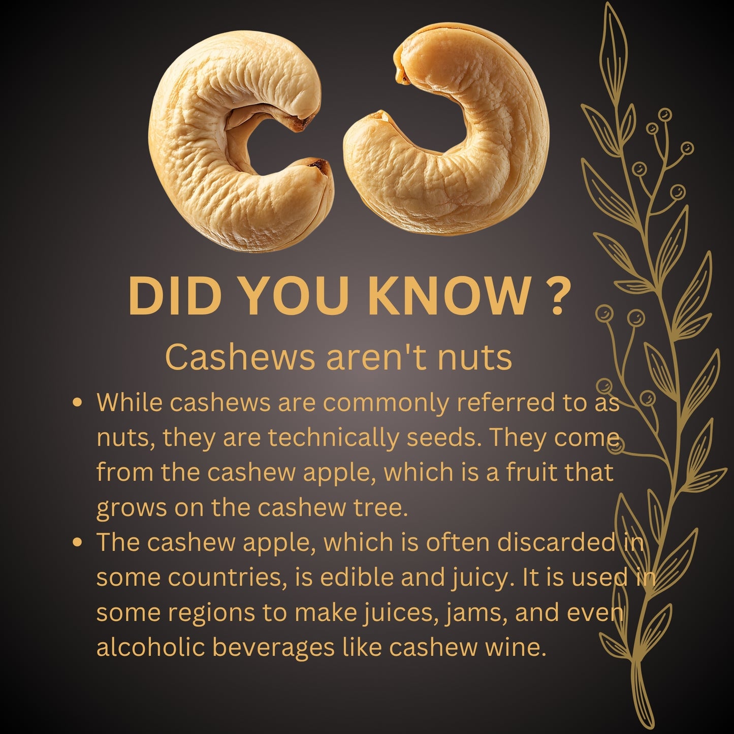 NUTTY OCCASIONS : Premium Whole Cashews - The Originals : Crunchy | nutritious rich in protein | magnesium and fiber | Naturally delicious | gluten-free | a healthy snack | luxury treat