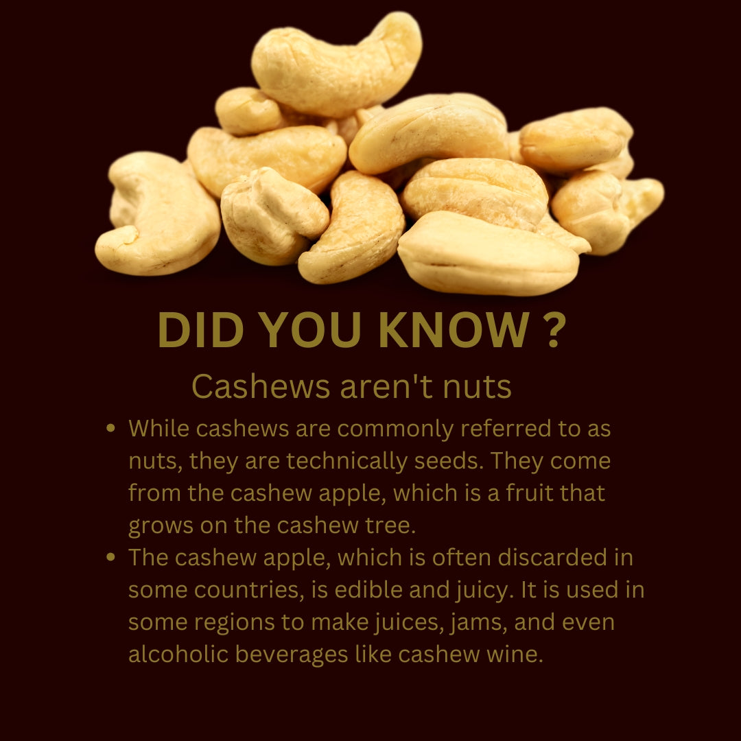 Classic Salted Cashews