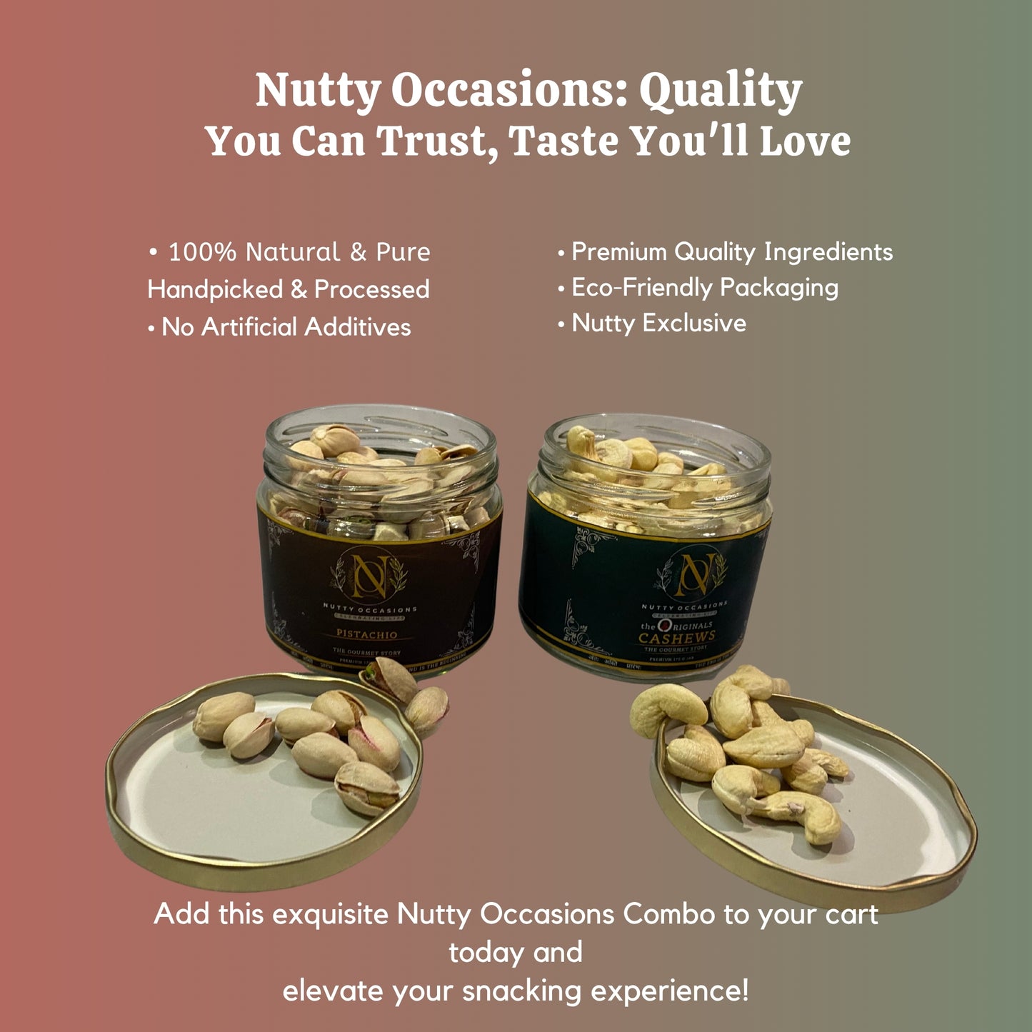 Nutty Occasions THE GOURMET STORY Pistachio & Cashew Combo - Crunchy, Premium Dry Fruits for Daily Wellness & Snacking, Perfect for Gift Hampers | 350 Grams