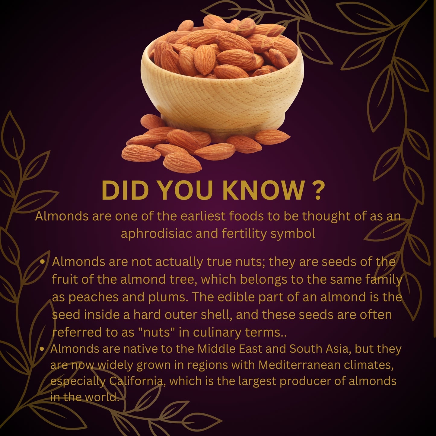 Nutty Occasions : Premium Almonds | Crunchy & Delicious | High in Protein | Fiber | Antioxidants  Keto-Friendly | Gluten-Free | Zero Cholesterol  Perfect for Snacking |350 Grams